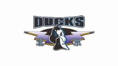 北京隊(duì)總決賽前兩場(chǎng)主場(chǎng)門票明日開售 最低180元最高1980元