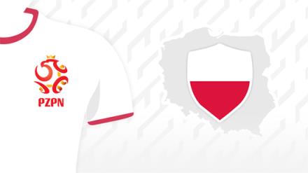 波蘭主帥：為國家隊利益辭去主教練職務(wù)