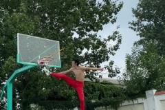 《歡迎來到文班亞馬批發(fā)市場》