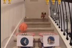 第一場(chǎng)對(duì)了！網(wǎng)紅柯基預(yù)測(cè)勇狼大比分：勇贏G1 但搶七被淘汰